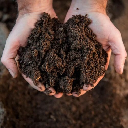 Dreiskel Biodinamica - Conservar Preparados - Compost
