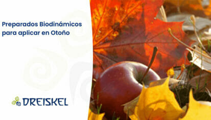 Dreiskel Biodinámica - Preparados Biodinámicos Para Aplicar En Otoño