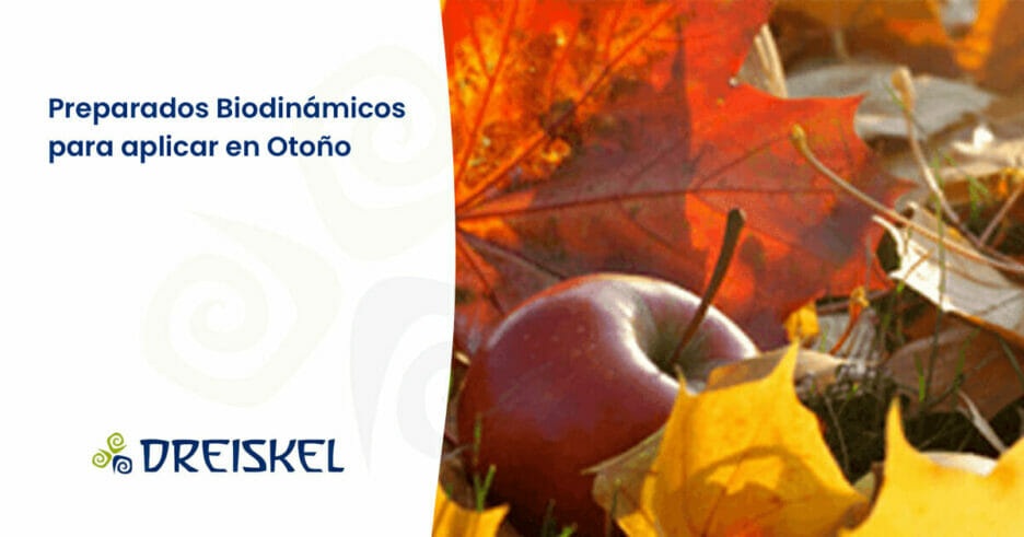 Dreiskel Biodinámica - Preparados Biodinámicos Para Aplicar En Otoño