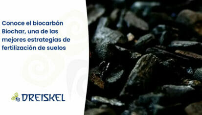 Dreiskel Biodinámica - Conoce El Biocarbón Biochar, Una De Las Mejores Estrategias De Fertilización De Suelos