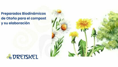 Dreiskel Biodinámica - Preparados Biodinámicos De Otoño Para El Compost Y Su Elaboración