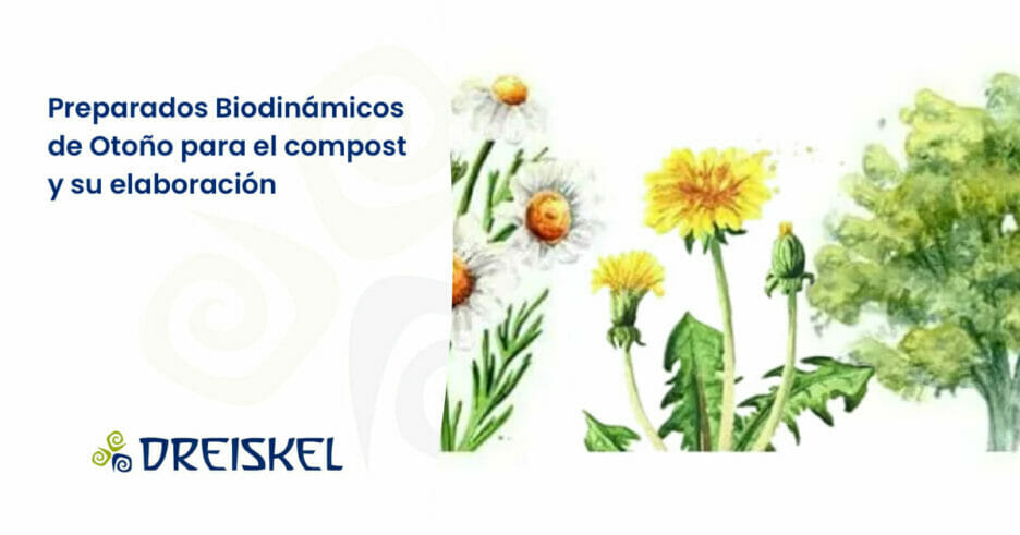 Dreiskel Biodinámica - Preparados Biodinámicos De Otoño Para El Compost Y Su Elaboración