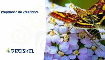 Dreiskel Biodinámica - Preparado De Valeriana