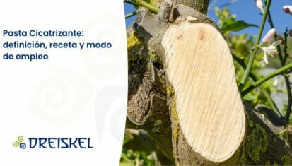 Dreiskel Biodinámica - Pasta Cicatrizante: Definición, Receta Y Modo De Empleo