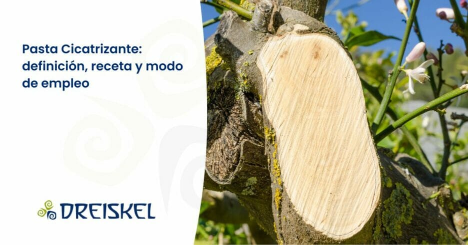 Dreiskel Biodinámica - Pasta Cicatrizante: Definición, Receta Y Modo De Empleo