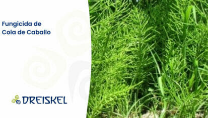 Dreiskel Biodinámica - Fungicida De Cola De Caballo