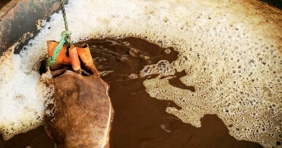 Elaboración De Purín De Fungicida De Cola De Caballo 