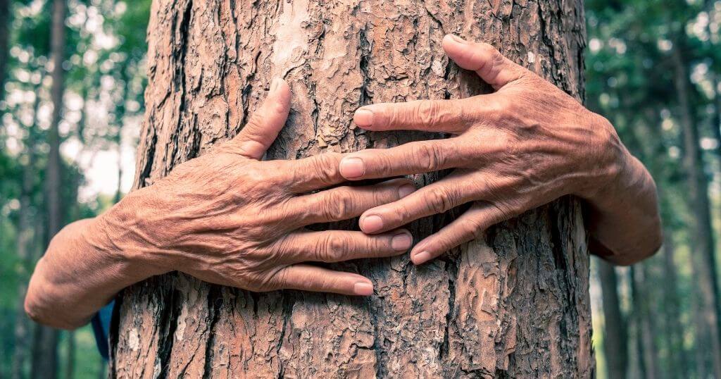 abrazo árbol y naturaleza abrazo árbol y naturaleza