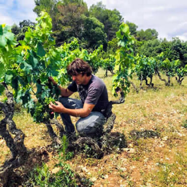 Dreiskel Biodinamica - Testimonios - Celler Joan Danguera