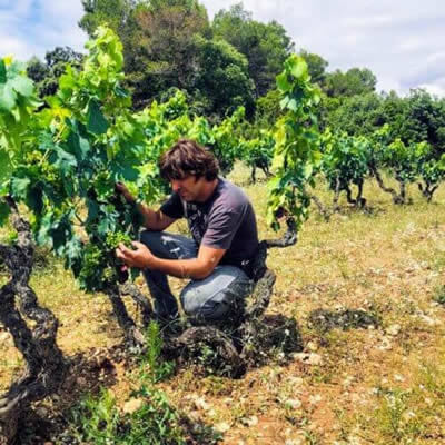 Dreiskel Biodinamica - Asesoramiento - Testimonios - Celler Joan Danguera