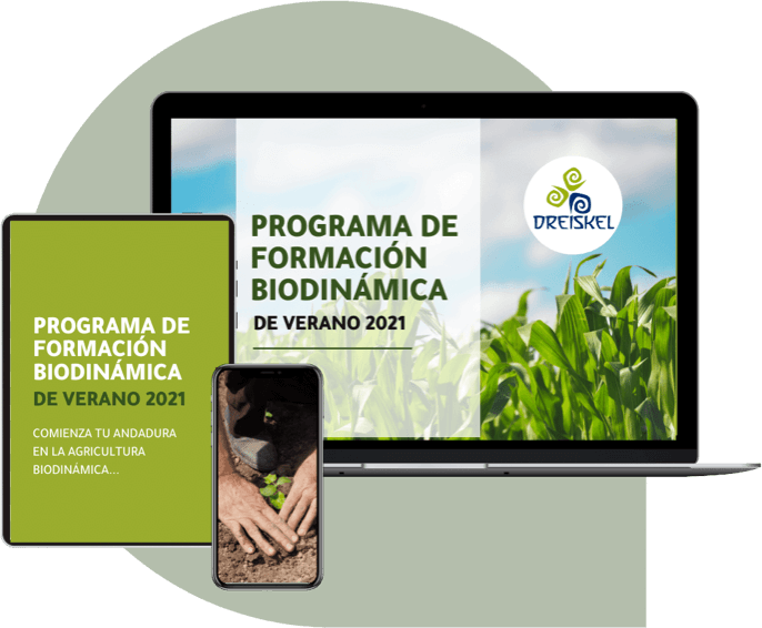 Dreiskel Biodinamica - Programa Formacion - Mockup