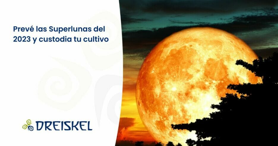 Dreiskel Biodinámica - Prevé Las Superlunas Del 2023 Y Custodia Tu Cultivo