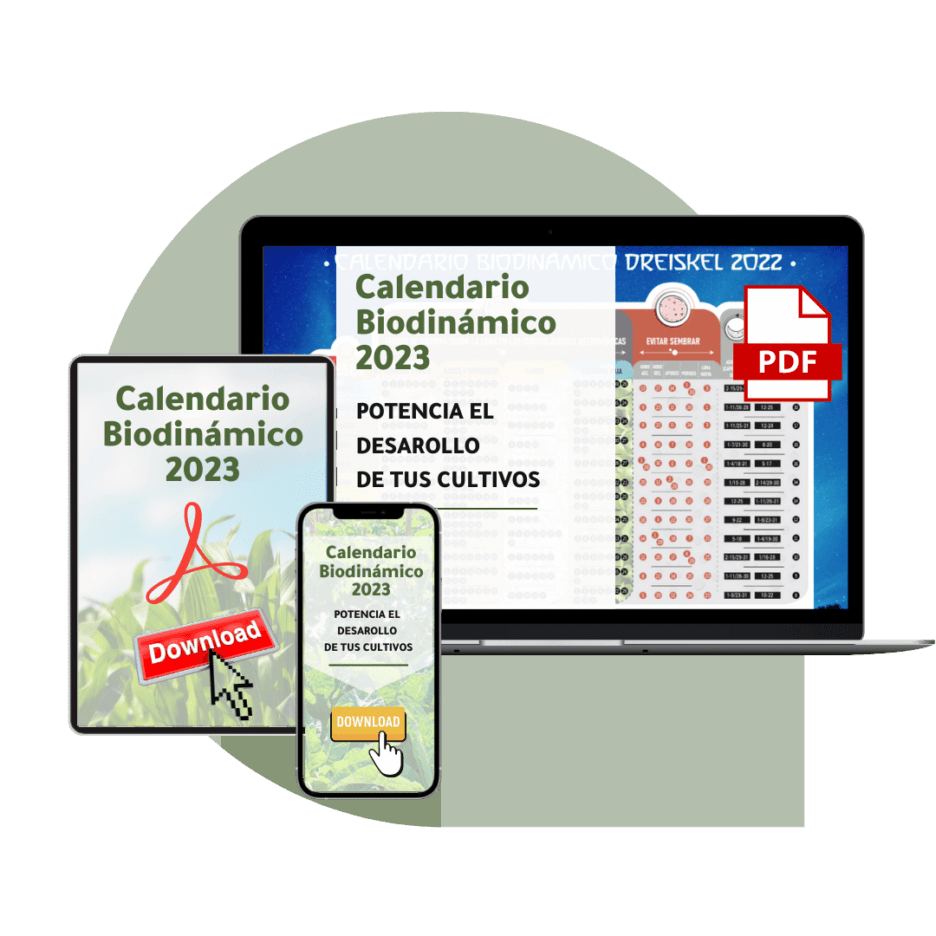 Dreiskel Biodinámica - Calendario Biodinámico - Calendario Biodinamico Dreiskel 2023 Mockup