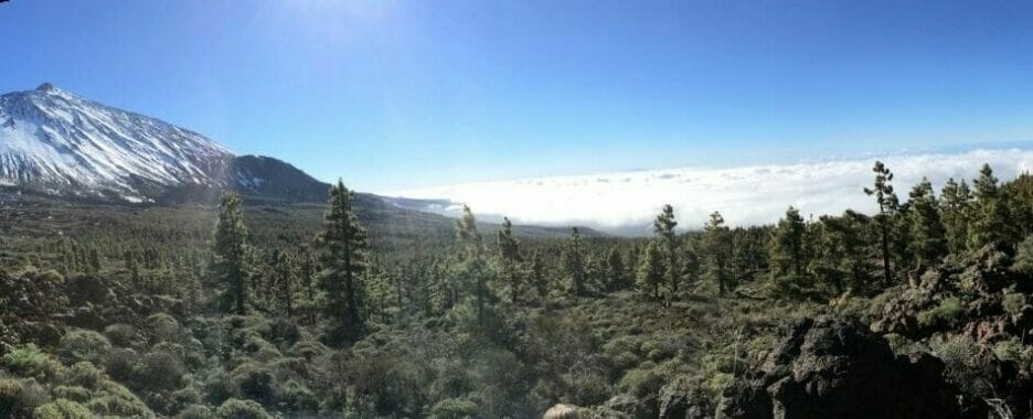 Panorámica De Tenerife De Dreiskel