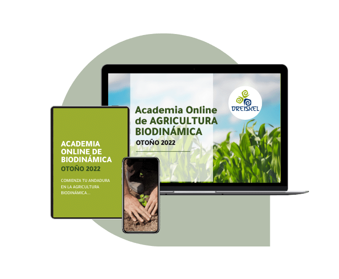 Academia Online Mockup