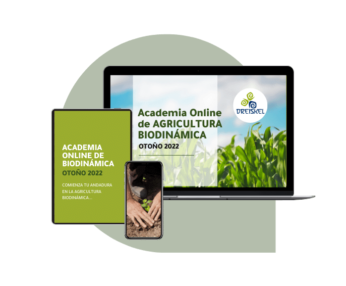 Academia Online mockup