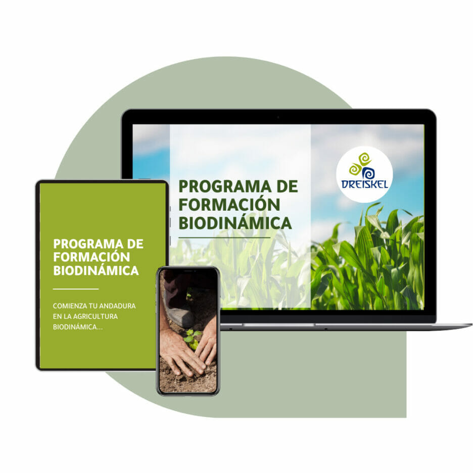 Dreiskel Biodinámica - Academia Online De Agricultura Biodinámica - Dreiskel Mockup Atemporal