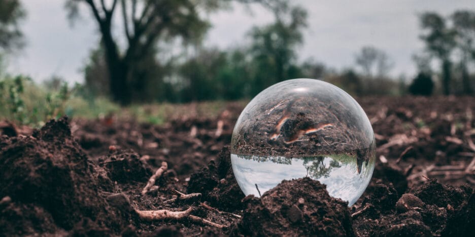 Materia Orgánica De La Tierra Con Gota De Agua Con Preparado De Maria Thun 