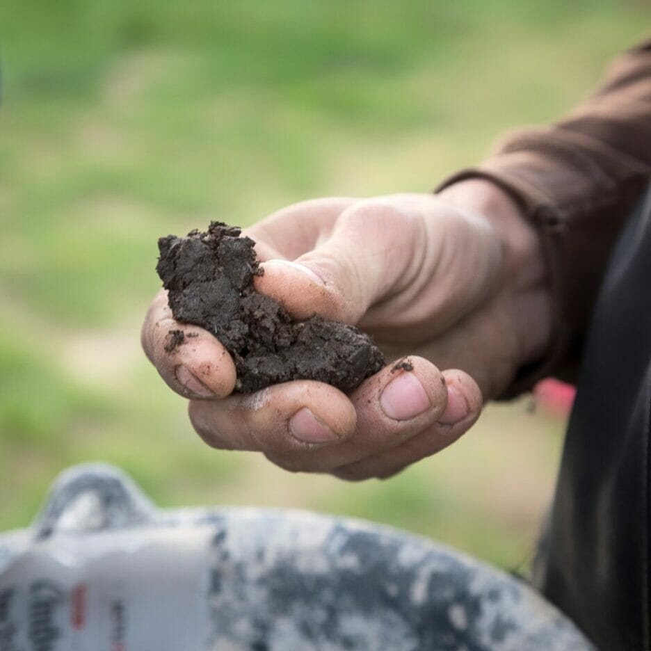 Dreiskel Biodinámica - Optimizando La Agricultura Biodinámica: El Poder Del Preparado De Boñiga Y Preparado De Sílice - Preparado De Boniga En Mano De Dreiskel 3