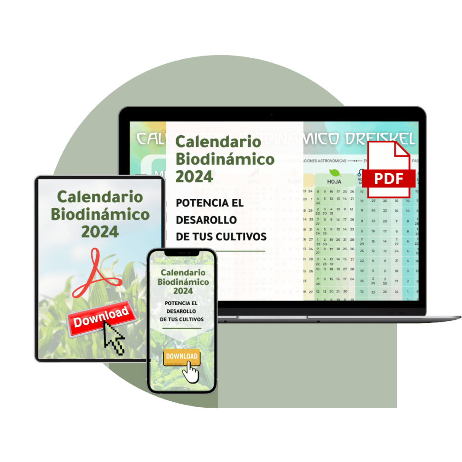 Dreiskel Biodinámica - Calendario Biodinámico - Calendario Biodinamico 2024 Ts