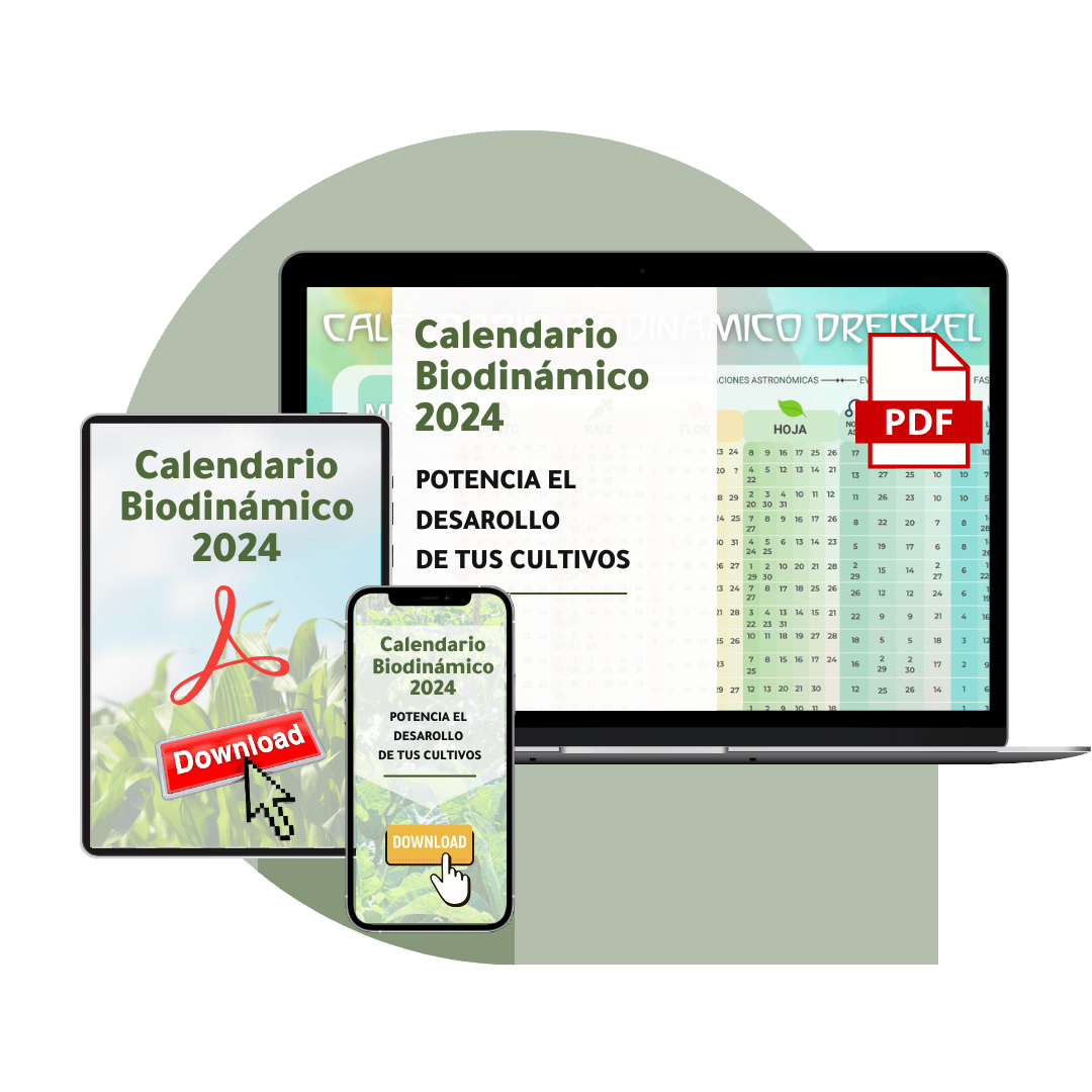 Calendario Biodinámico - Dreiskel Biodinámica