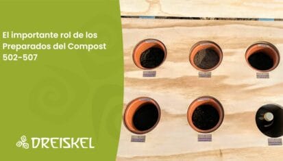 Caja De Madera Con Vasijas Con Preparados Del Compost 502-507