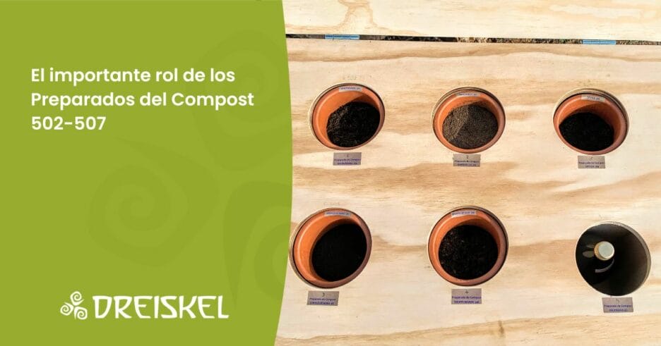 Dreiskel Biodinámica - El Importante Rol De Los Preparados Del Compost 502-507