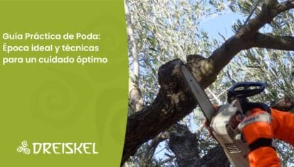 Dreiskel Biodinámica - Guía Práctica De Poda: Época Ideal Y Técnicas Para Un Cuidado Óptimo