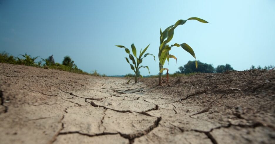 Tierra En Malas Condiciones A Causa De La Sequía En España