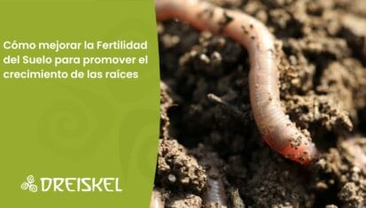 Dreiskel Biodinámica - Cómo Mejorar La Fertilidad Del Suelo Para Promover El Crecimiento De Las Raíces