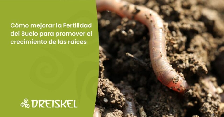 Dreiskel Biodinámica - Cómo Mejorar La Fertilidad Del Suelo Para Promover El Crecimiento De Las Raíces