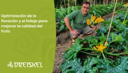 Dreiskel Biodinámica - Optimización De La Floración Y El Follaje Para Mejorar La Calidad Del Fruto