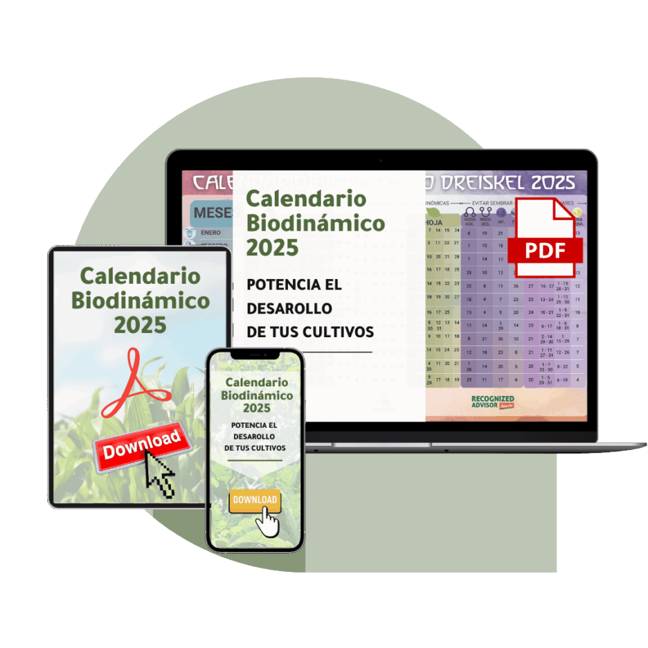 Dreiskel Biodinámica - Calendario Biodinámico - mockup calendario biodinamico 2025