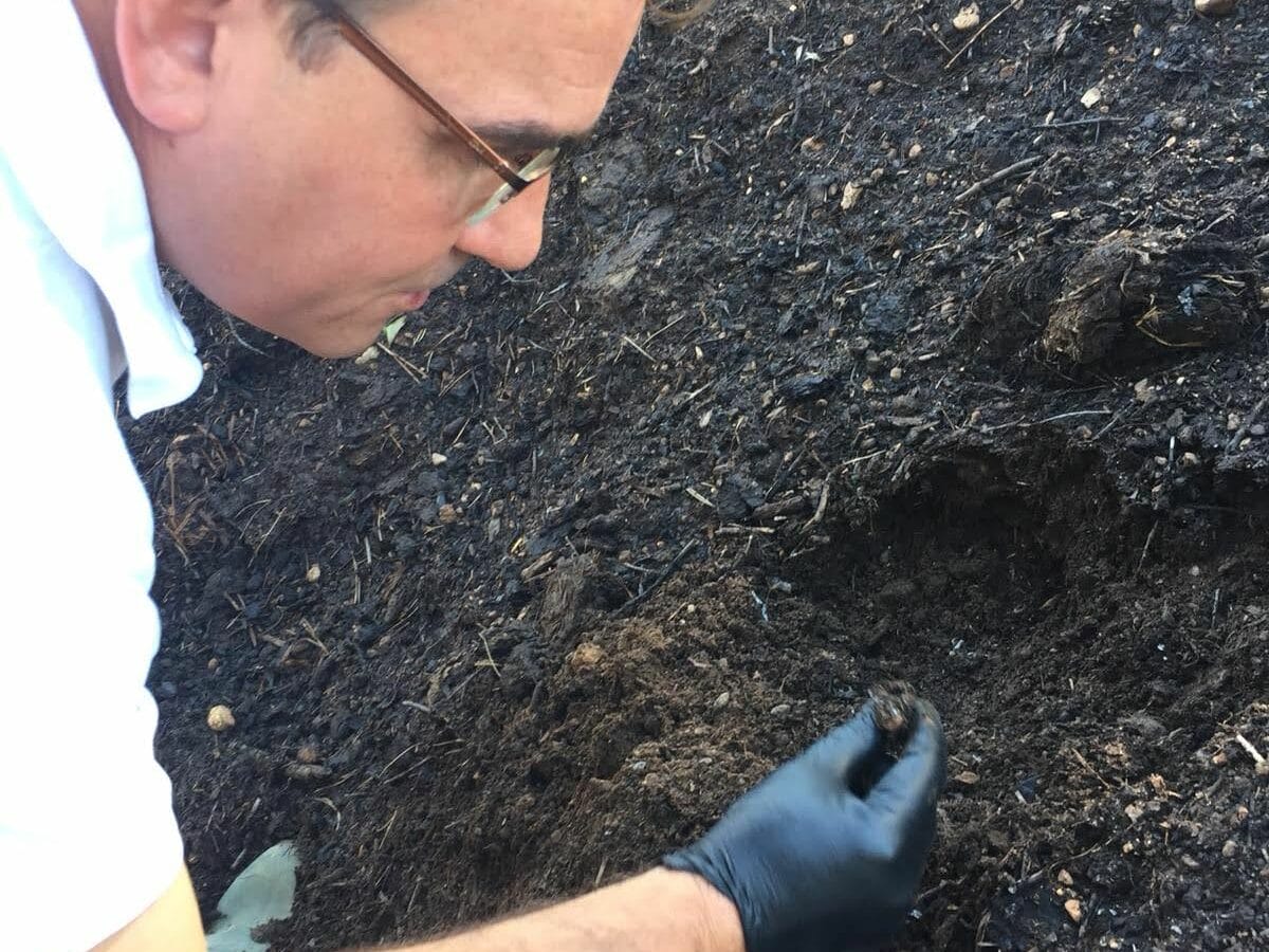 Dreiskel Biodinámica - Compost Perfecto: Transforma tu tierra con Esta Guía Definitiva y Despierta la Vida en tu Suelo - 1a027bcc b5d1 4d72 b9ed 01971d62e0c8 edited 3