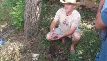 tierra viva mano finca biodinamica Cómo saber si tus preparados funcionan: agricultor con un puñado de tierra viva